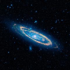 WISE Infrared Andromeda