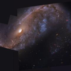 NGC 2442: Galaxy in Volans