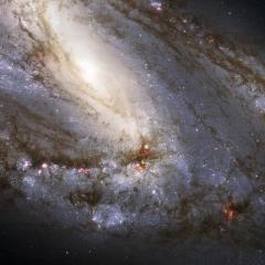 Unusual Spiral Galaxy M66 from Hubble