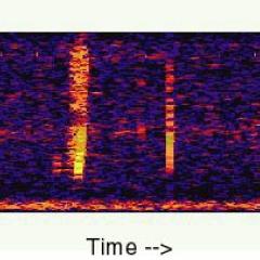 The Bloop: A Mysterious Sound from the Deep Ocean