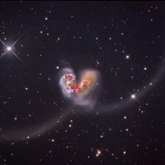 The Antennae