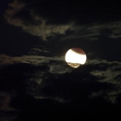 A Partial Lunar Eclipse