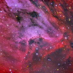Pelican Nebula Close Up