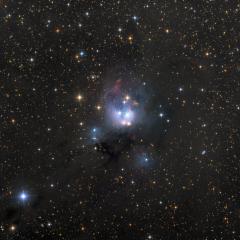 Young Suns of NGC 7129