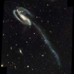 Arp 188 and the Tadpoles Tidal Tail
