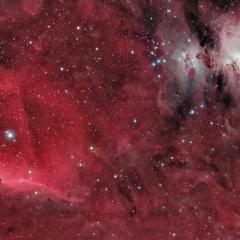 Horsehead and Orion Nebulas