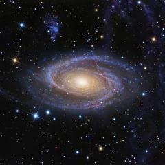 M81 and Arp’s Loop