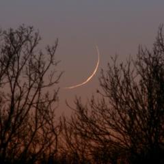 A Twilight Occultation