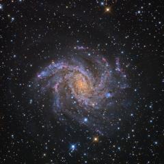 Fireworks Galaxy NGC 6946