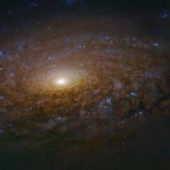 NGC 3521 Close Up