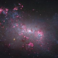 NGC 4449: Close up of a Small Galaxy