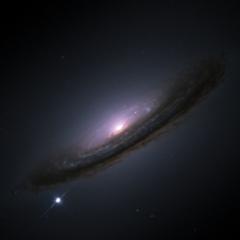 Nobels for a Strange Universe