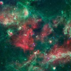 Cygnus X: The Inner Workings of a Nearby Star Factory