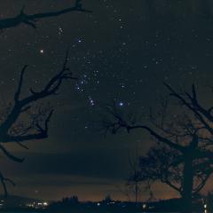 The Hunter’s Stars