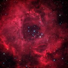 The Rosette Nebula