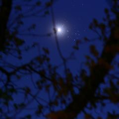 Conjunction Haiku