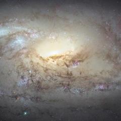 M106 Close Up