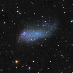 IC 2574: Coddington’s Nebula