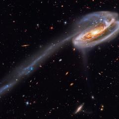 Arp 188 and the Tadpole’s Tail
