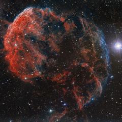 The Elusive Jellyfish Nebula