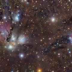 NGC 2170: Celestial Still Life