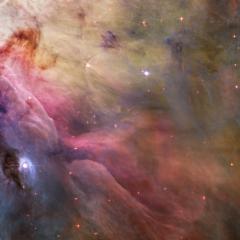 LL Ori and the Orion Nebula