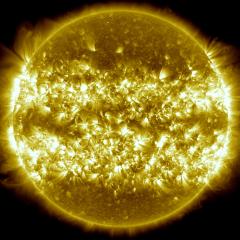 A Year on the Sun