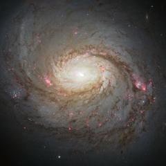 Messier 77