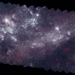 The Large Magellanic Cloud in Ultraviolet