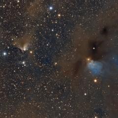 Dusty Nebulae in Taurus