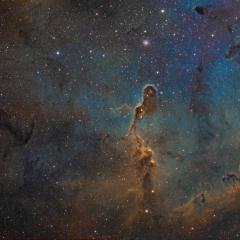 The Elephant’s Trunk in IC 1396