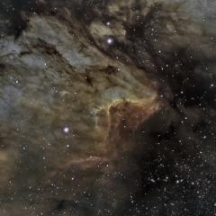 IC 5067 in the Pelican Nebula
