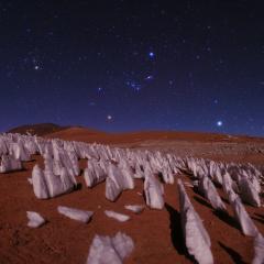 Night in the Andes Ice Forest