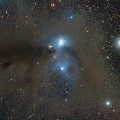 Stars and Dust Across Corona Australis