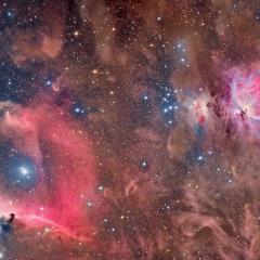 Horsehead and Orion Nebulas