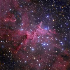 Melotte 15 in the Heart