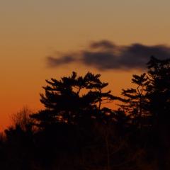A New Year’s Crescent