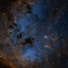 The Tadpoles of IC 410