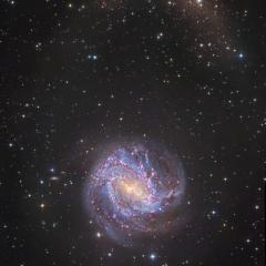 M83 Star Streams