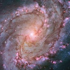 Spiral Galaxy M83: The Southern Pinwheel