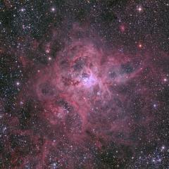 The Cosmic Web of the Tarantula Nebula