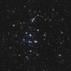M44: The Beehive Cluster