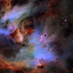 Globules in the Running Chicken Nebula