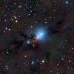 NGC 1333 Stardust