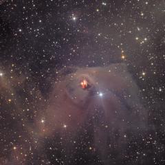 T Tauri and Hind s Variable Nebula