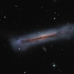 The Tail of the Hamburger Galaxy