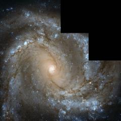 In the Center of Spiral Galaxy M61