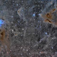 The Iris Nebula in a Field of Dust