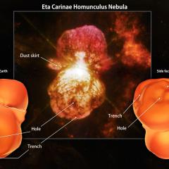 3D Homunculus Nebula