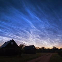 Veins of Heaven